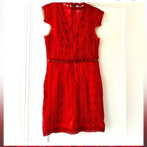 Blossom Lace Dress